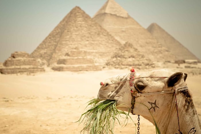 El Cairo: Visita a las Pirámides, paseo en barco y almuerzo en Cafelucca