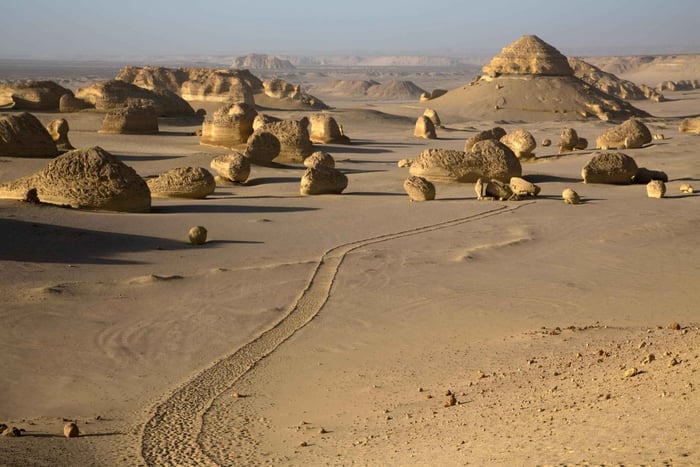 Descubre Wadi Hitan, ¡la maravilla prehistórica de Egipto!