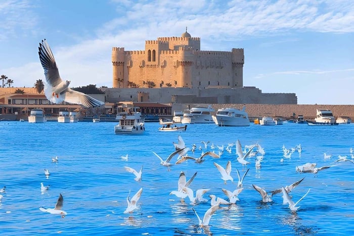 Vanuit Caïro: catacomben van Alexandrië, bibliotheek en Qaitbay-citadel