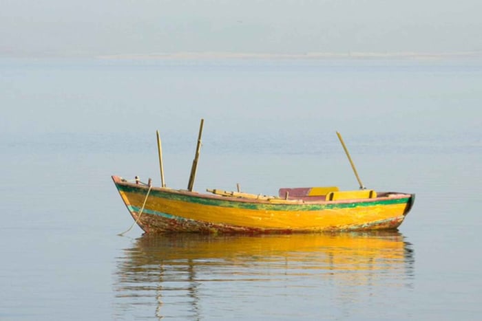 Dal Cairo: Tour guidato dell'oasi di Fayoum e del Wadi Al Rayan