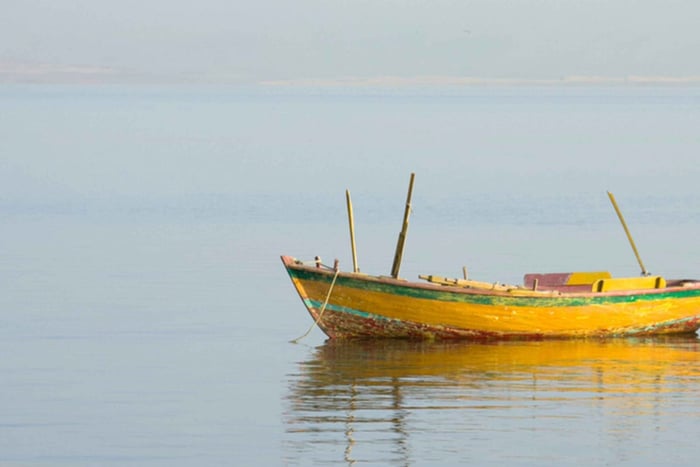 Från Kairo: Fayoum Oasis och Wadi Al Rayan guidad tur