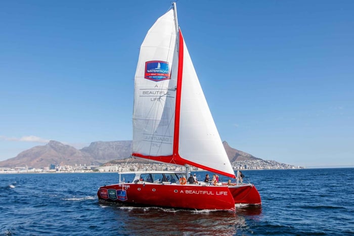 60min Crucero en catamarán por la costa de Ciudad del Cabo