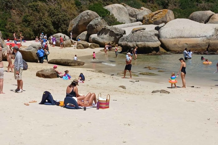 Dzień na plaży w Boulder's Beach i obserwacja pingwinów, pół dnia