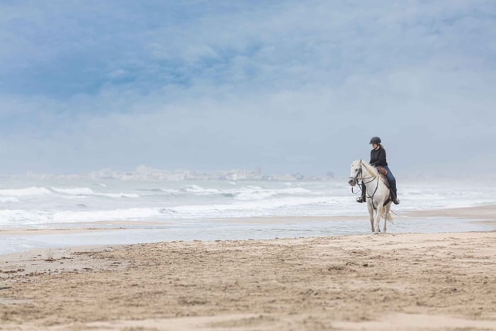 Le Cap : promenade à cheval sur la plage, épave et séance photo