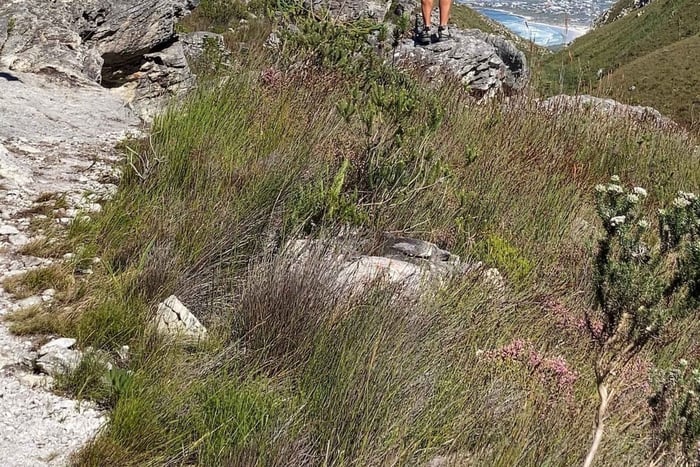 Bettysbaai: wandeltocht met gids van Harold Porter naar Kogelberg