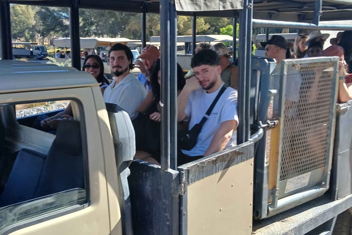 Ciudad del Cabo: safari por la tarde en la reserva Big 5 con almuerzo