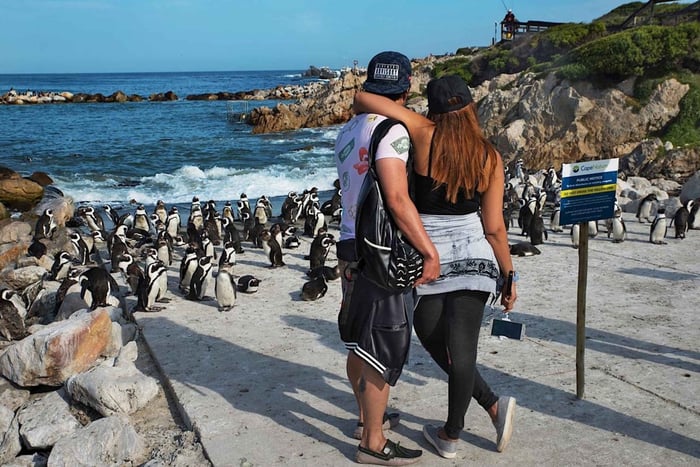 Cape Peninsula Private Tour