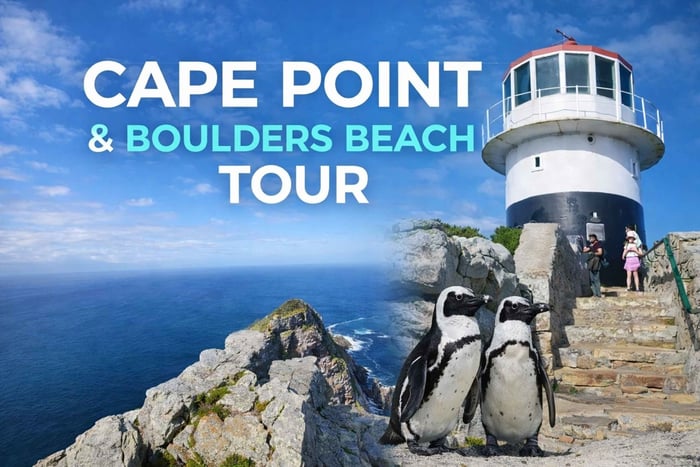 Kapkaupunki: Cape Point ja Boulders Beachin pingviiniretki