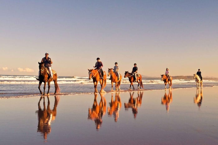 Ciudad del Cabo: paseo a caballo por la playa con recogida y regreso al hotel