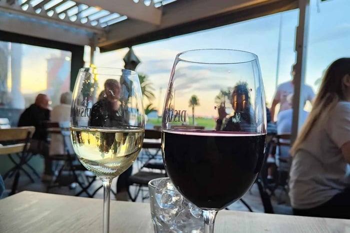 Cidade do Cabo:Excursão de 1 dia a Winelands com prova de vinhos e gastronomia