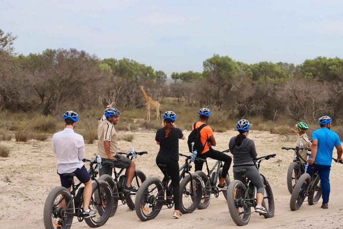 Cape Town: Guided e-Bike Safari Tour