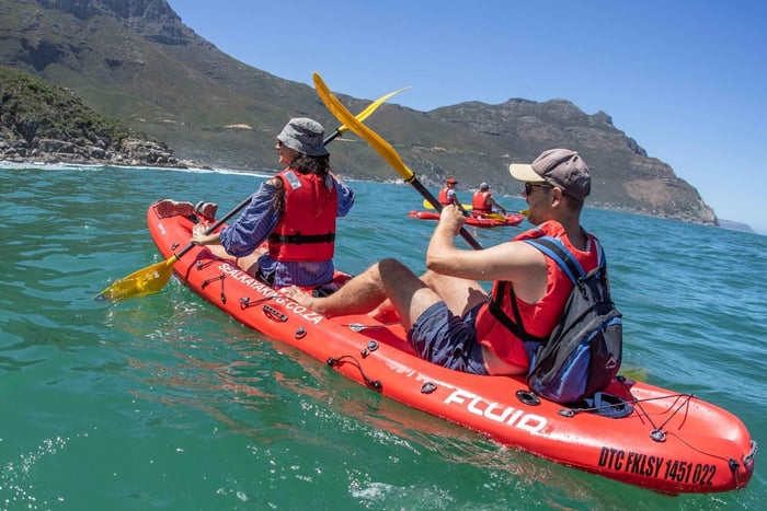 Le Cap : visite guidée en kayak