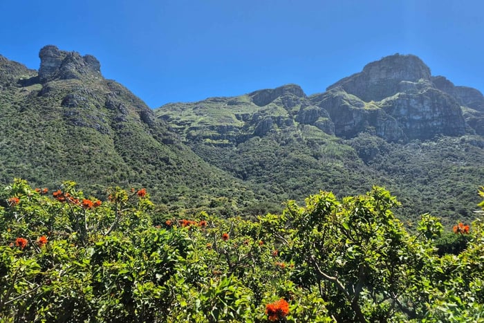Kapsztad: spacer z Kirstenbosch do Constantii i degustacja win