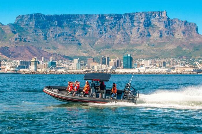 Safari oceanico a Città del Capo: Avventura in barca a Table Bay
