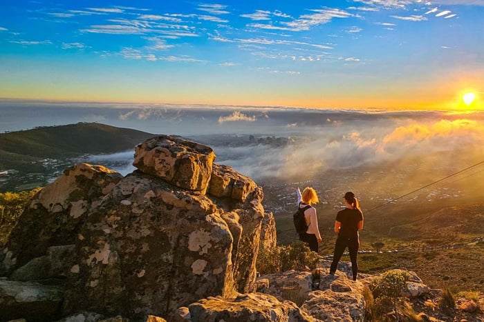 Cape Town: Vandring på Taffelbjerget med en ekspertguide