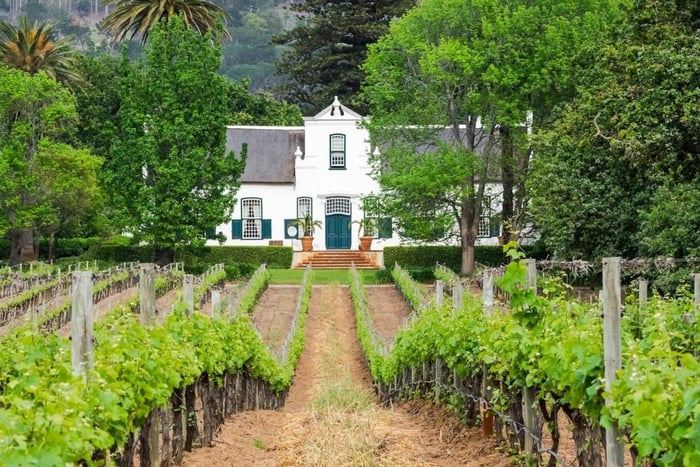 Ciudad del Cabo: Tour de medio día por los Winelands con guía local