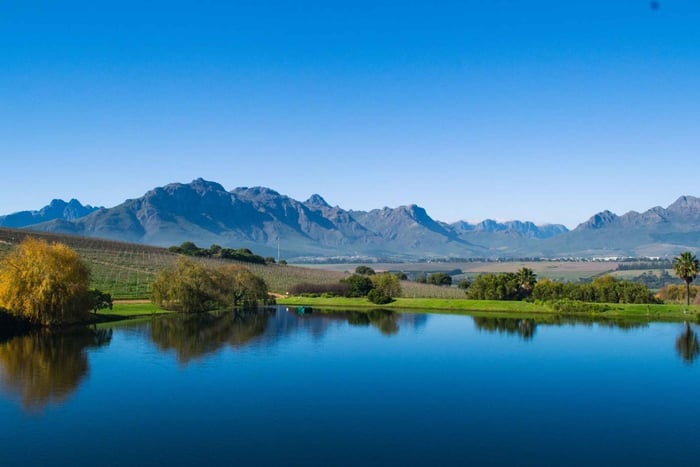 Cape Winelands: experiencia de lujo de 5 días de golf y vino