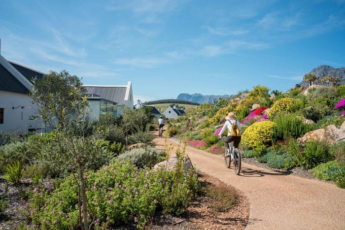 Ciudad del Cabo: tour guiado por viñedos y Cape Winelands
