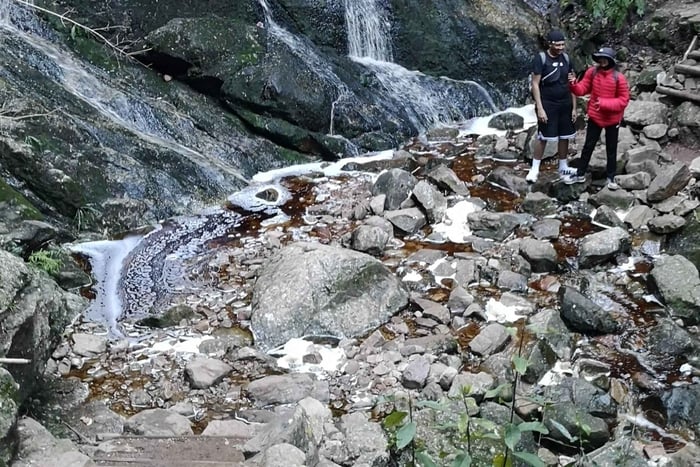 Ciudad del Cabo: ruta de senderismo guiada por el bosque de Cecilia con vistas a la cascada