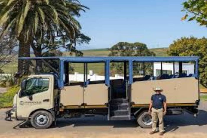 Durbanville : Wine Safari Tour - Northern Line