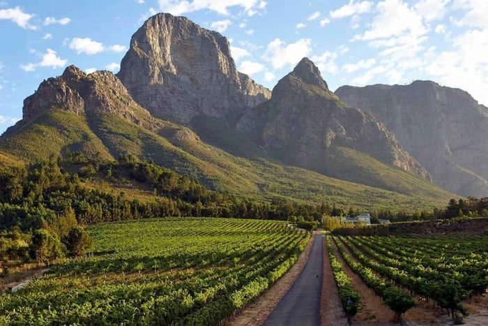 Franschhoek Wine Tram: tour hop-on hop-off da Città del Capo