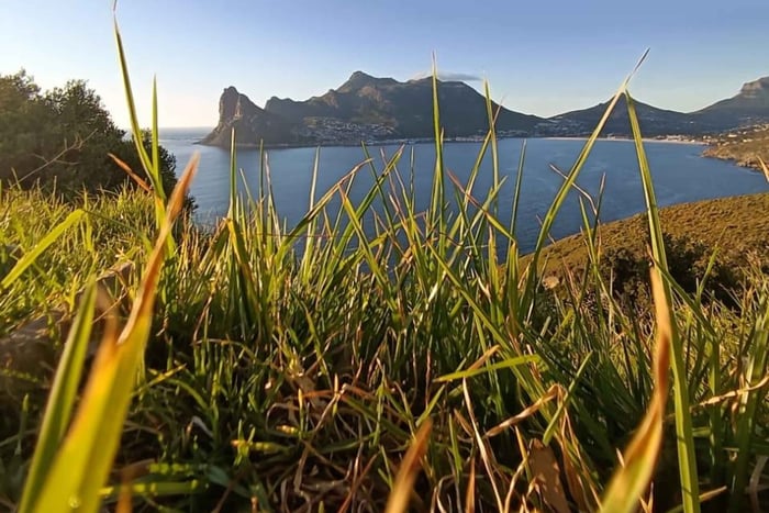 From Cape Town - Hermanus Day Trip with Stony Point Penguins