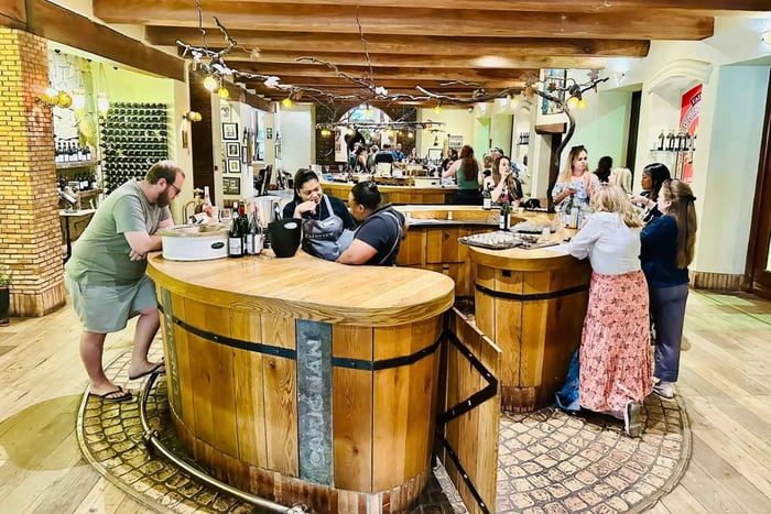 From Cape Town - Wine Tasting 6hours half day Tour