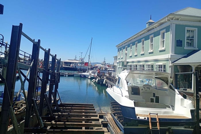 From Simon's town: Marine Big 5 Tour with Transfer