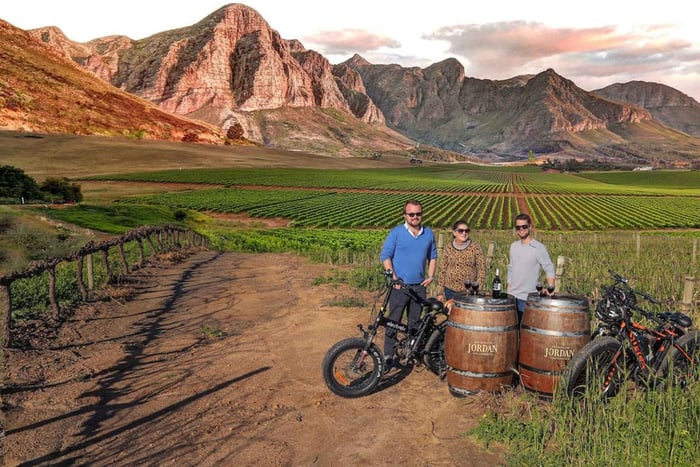 Full-Day Winelands E-Bike Tour with Wine Tasting & Lunch