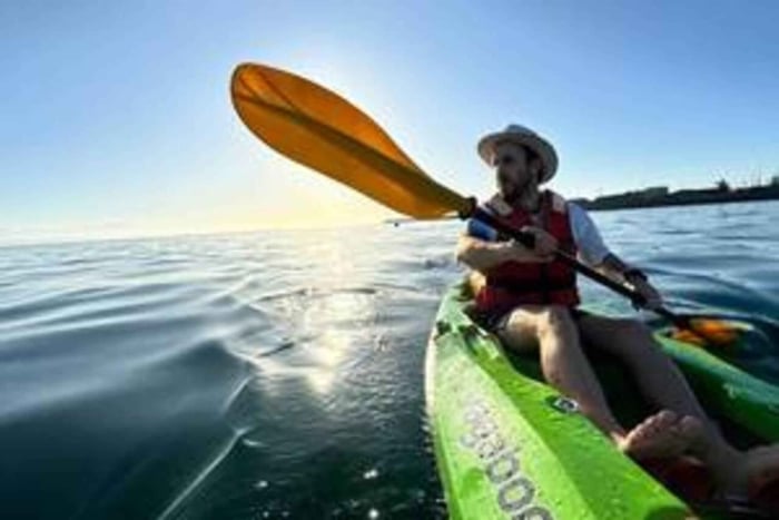 Kaapstad: kajaktocht met gids in Granger Bay