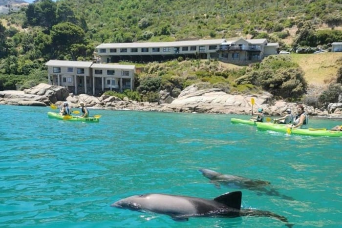 Kapstadt: Geführtes Kajakfahren in Hout Bay