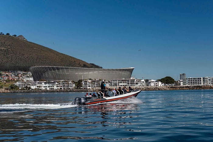 Guided Marine Wildlife Cruise and Cape Point Tour