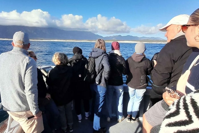 Ciudad del Cabo: paseo en barco al atardecer, avistamiento de ballenas y almuerzo