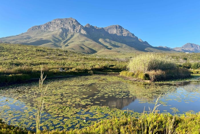 Leopards Loop -vaellus: Helderbergin luonnonsuojelualue, Somerset West