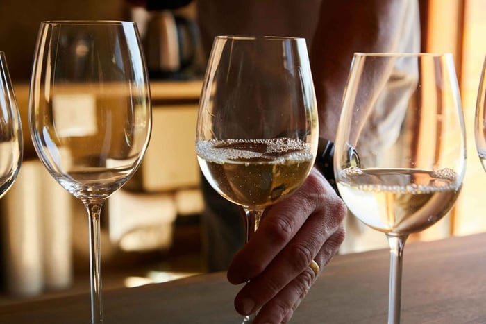 Tour por la Larga Marcha hacia la Libertad y Winelands con recogida en el hotel