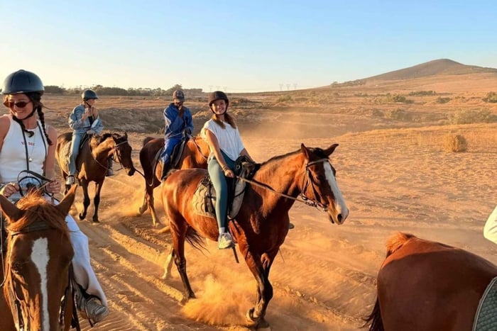 Mountain View Horse Trail Ride Experience