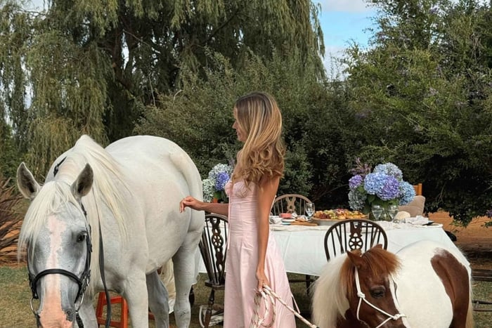 Ciudad del Cabo: paseo a caballo privado, brunch con estilo y recogida