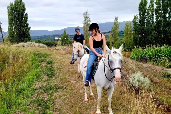 Ciudad del Cabo: paseo a caballo privado con pícnic de vino y recogida