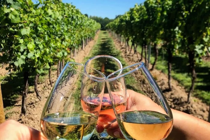 Cidade do Cabo: Degustação de Vinhos para Casais LGBTQIA+ e Passeio de Bonde