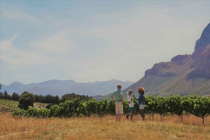 Stellenbosch: 4x4 Winelands Private Experience