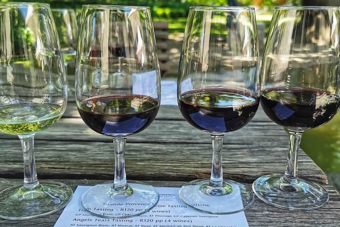 Stellenbosch, Franschhoek and Babylonstoren Wine Tour