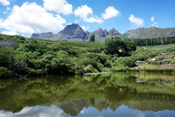 Stellenbosch: wijnhuizen en safaritour met wijnproeverij