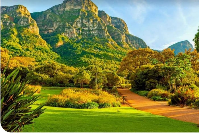 Table Mountain Cableway, Kirstenbosch & Constantia Wine Tour