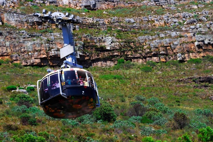 Città del Capo: Tour di gruppo della Table Mountain, Cape Point, Pinguini
