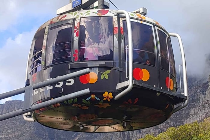 Città del Capo: tour privato di Table Mountain, Cape Point e pinguini