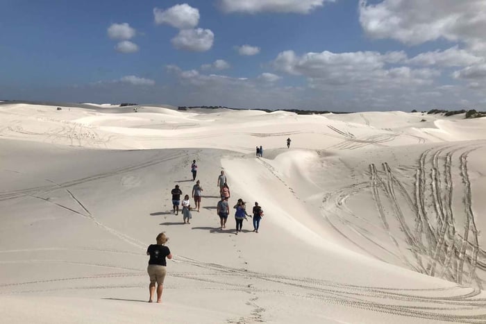 Tour guiado de 1 día por el Parque Nacional de la Costa Oeste