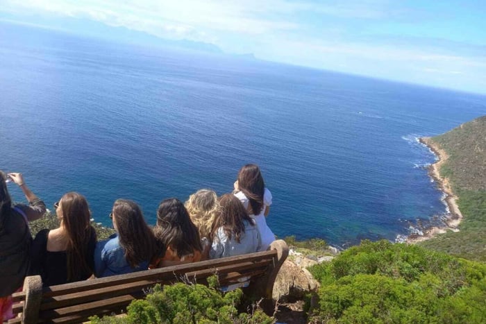 Ciudad del Cabo Pingüinos de la Montaña de la Mesa y Cape Point Todo incluido