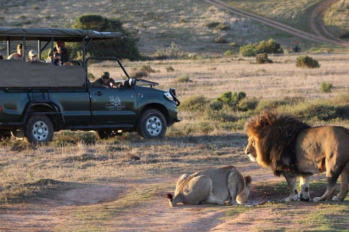 Au départ du Cap : Safari de 2 jours au Garden Route Game Lodge