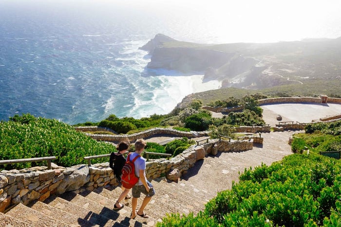 Desde Ciudad del Cabo: excursión de un día completo a Cape Point y Boulders Beach