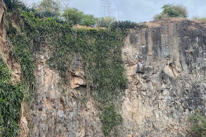 Une journée à la campagne : immersion dans la vie familiale à Ribeirão de Kal – Tout compris